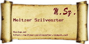 Meltzer Szilveszter névjegykártya